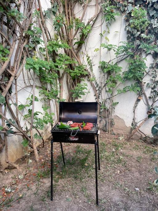 Etage De Villa Avec Jardin, Pres De L'Aireport Et Parking Prive أريانة المظهر الخارجي الصورة