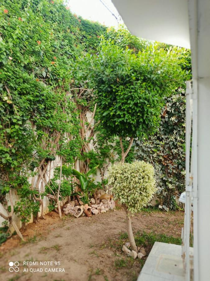 Etage De Villa Avec Jardin, Pres De L'Aireport Et Parking Prive أريانة المظهر الخارجي الصورة