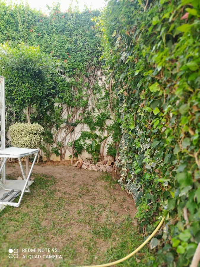 Etage De Villa Avec Jardin, Pres De L'Aireport Et Parking Prive أريانة المظهر الخارجي الصورة