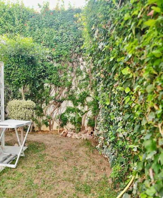 Etage De Villa Avec Jardin, Pres De L'Aireport Et Parking Prive أريانة المظهر الخارجي الصورة