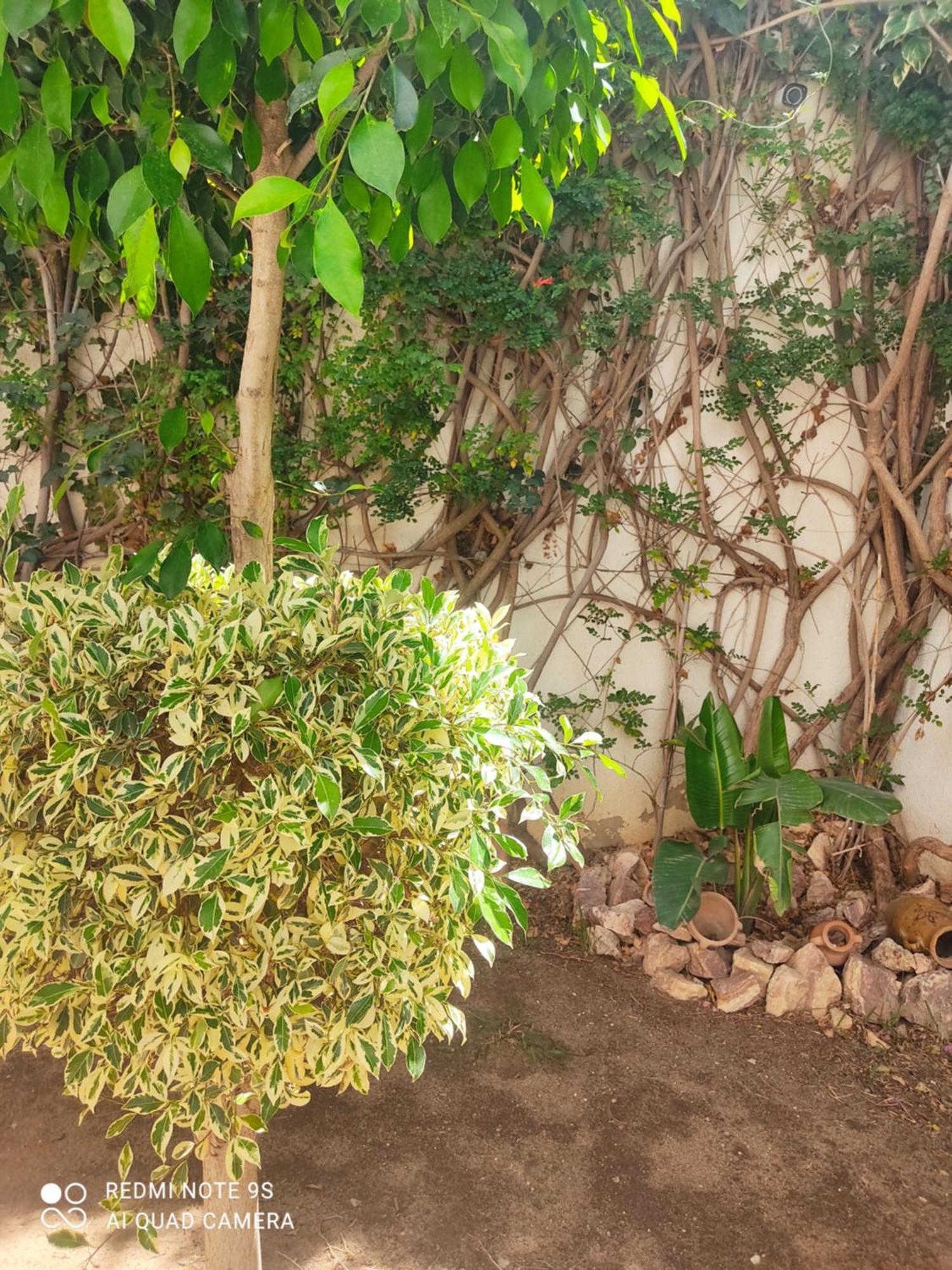Etage De Villa Avec Jardin, Pres De L'Aireport Et Parking Prive أريانة المظهر الخارجي الصورة