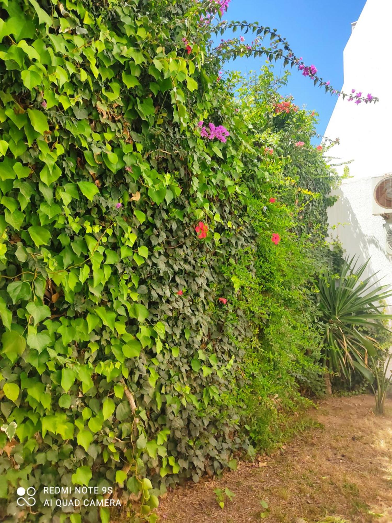 Etage De Villa Avec Jardin, Pres De L'Aireport Et Parking Prive أريانة المظهر الخارجي الصورة