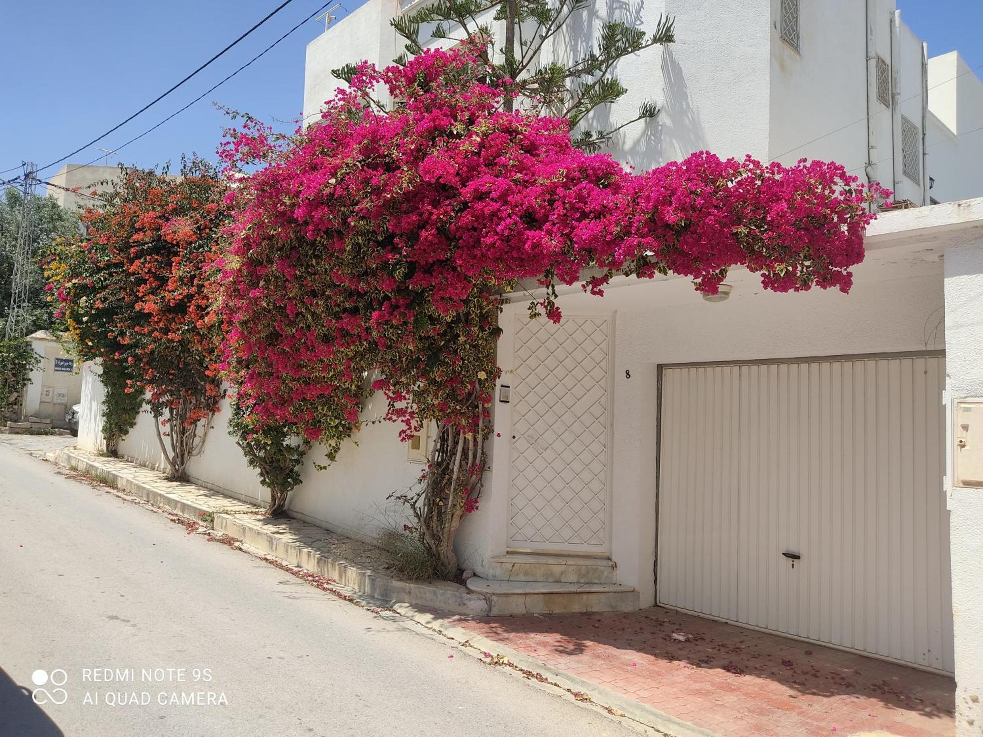 Etage De Villa Avec Jardin, Pres De L'Aireport Et Parking Prive أريانة المظهر الخارجي الصورة