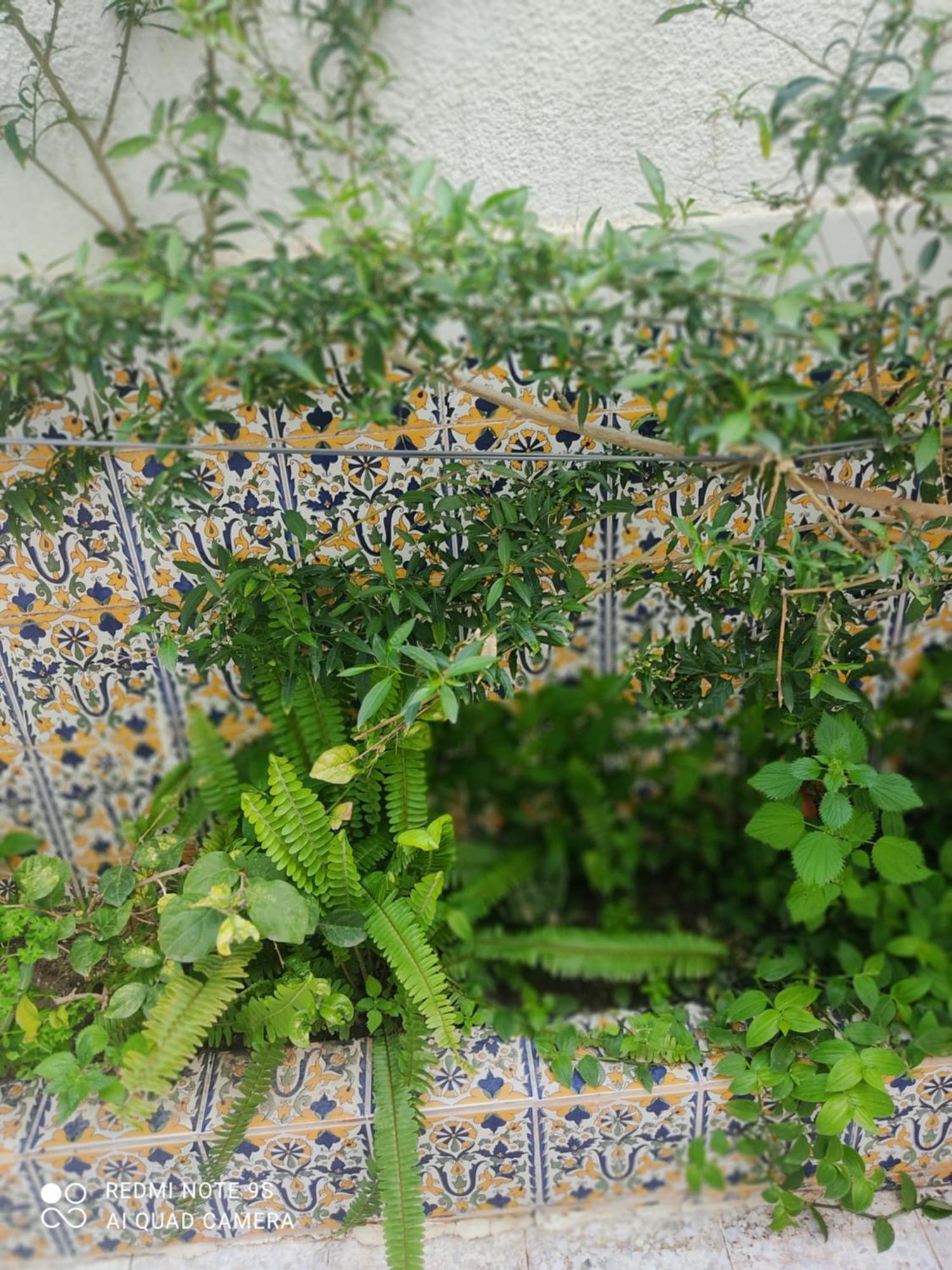 Etage De Villa Avec Jardin, Pres De L'Aireport Et Parking Prive أريانة المظهر الخارجي الصورة
