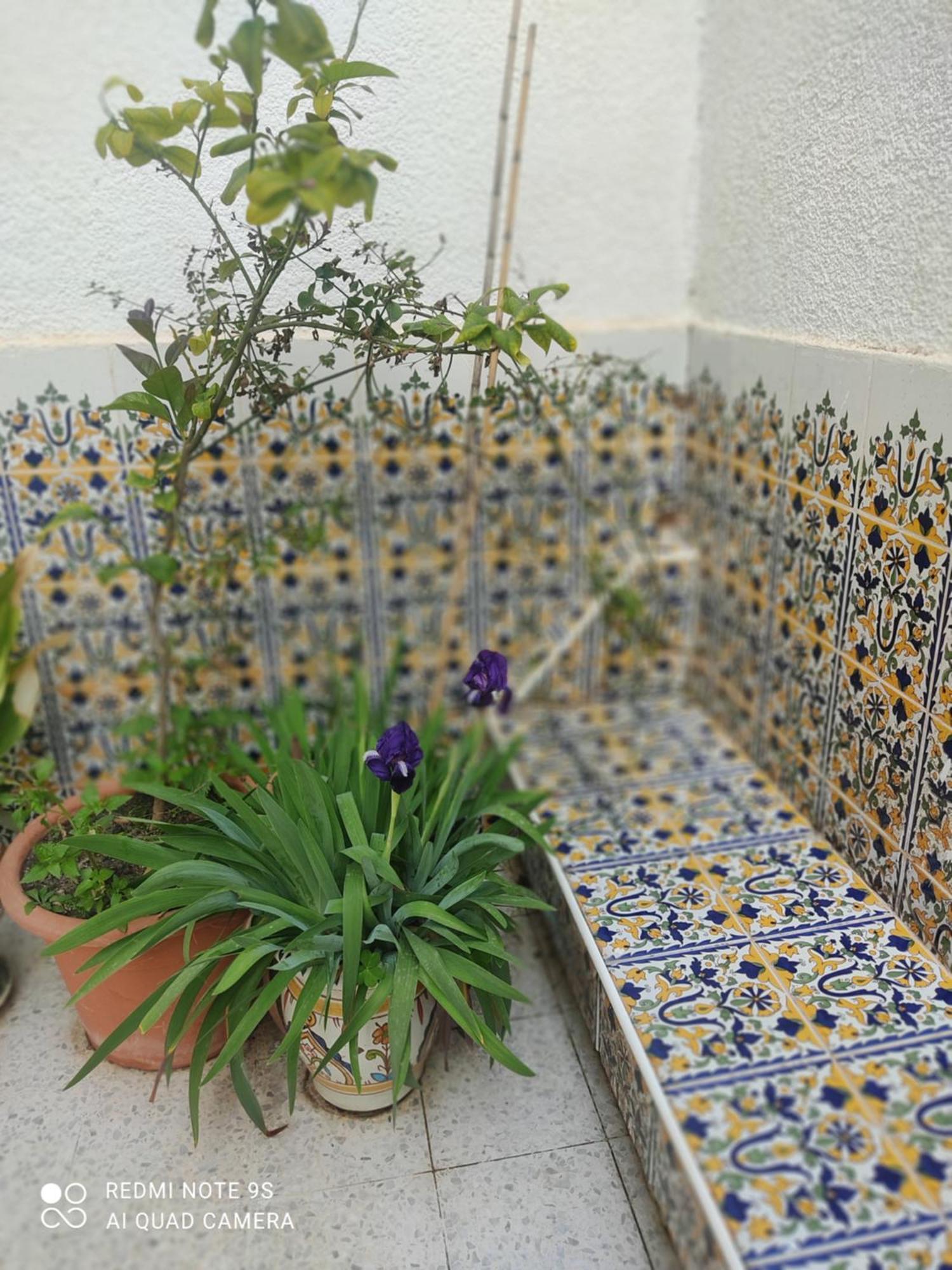 Etage De Villa Avec Jardin, Pres De L'Aireport Et Parking Prive أريانة المظهر الخارجي الصورة